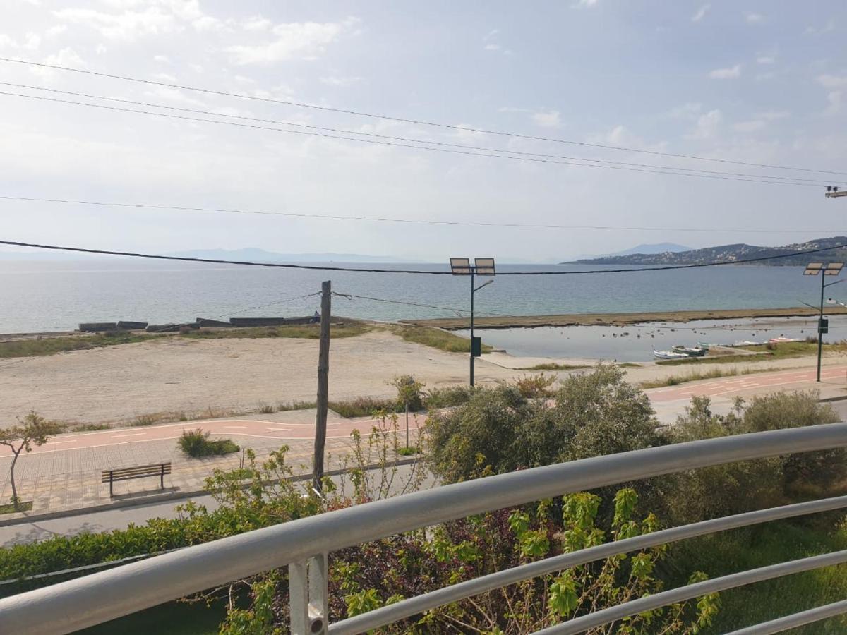 Bella Vista Apartment Volos Bagian luar foto
