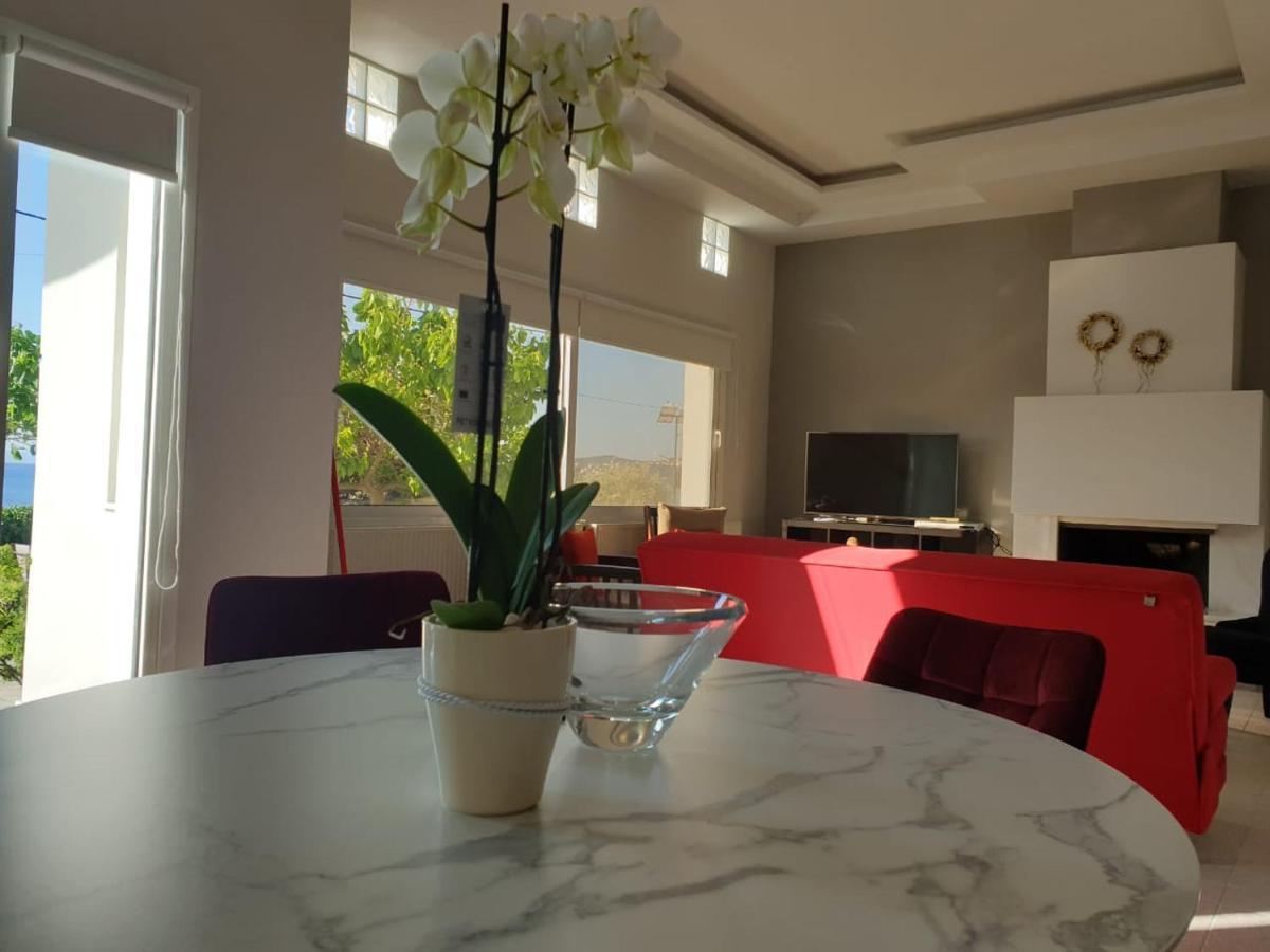 Bella Vista Apartment Volos Bagian luar foto