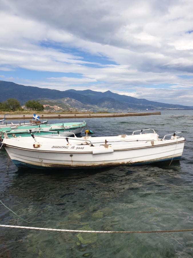 Bella Vista Apartment Volos Bagian luar foto